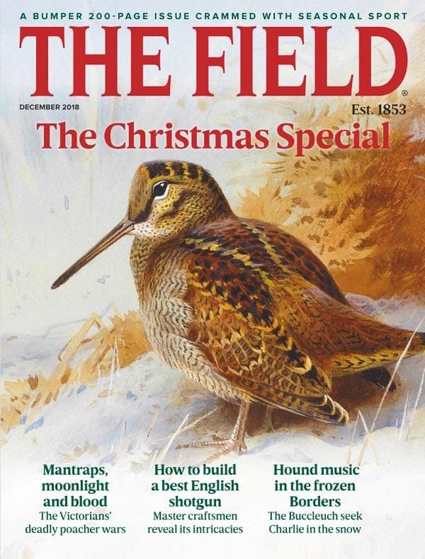 Morris Richardson's Feature in The Field Magazine